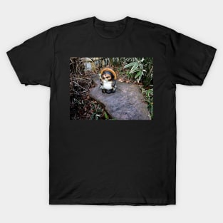 Cute Japanese Tanuki Statue T-Shirt